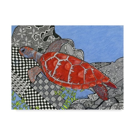 Amy Frank 'The Sea Turtle' Canvas Art,14x19